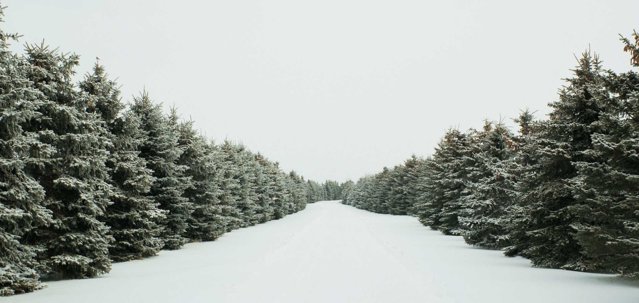 SNOW Mode